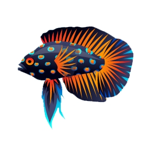 Burst marine Betta